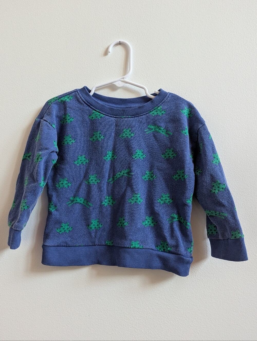 Hanna Andersson Sweatshirt 2T Boys Blue Frog
